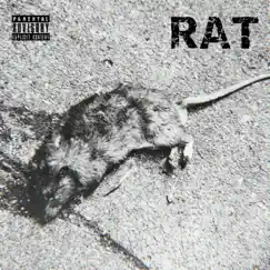 Rat Song Lyrics