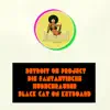 Black Cat on Keyboard - Single album lyrics, reviews, download