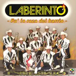 Pa' la Raza del Barrio by Grupo Laberinto album reviews, ratings, credits