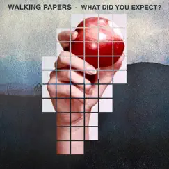 What Did You Expect? - Single by Walking Papers album reviews, ratings, credits