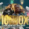 Ice Box (feat. Yella Beezy) - Single album lyrics, reviews, download
