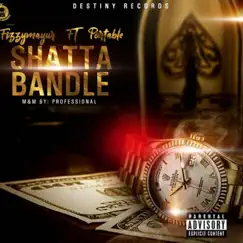 Shatta Bandle (feat. Portable) - Single by FizzyMayur album reviews, ratings, credits