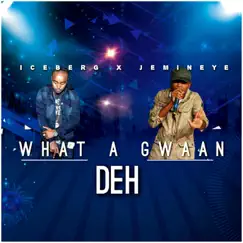 What a Gwaan Deh (feat. Ice berg) - Single by Jemineye album reviews, ratings, credits