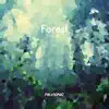 Forest (Instrumental) song lyrics