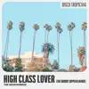 High Class Lover (feat. Jason Peterson DeLaire & St. Paul Peterson) [The Groove Supplier Remix] - Single album lyrics, reviews, download