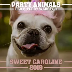 Sweet Caroline 2019 (Christmas Radio Edit) - Single by Party Animals album reviews, ratings, credits
