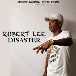 Disaster - Single by Robert Lee album reviews, ratings, credits