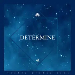 Determine - Single by Seehra Brothers album reviews, ratings, credits