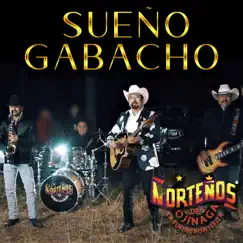 Sueño Gabacho - Single by Norteños de Ojinaga album reviews, ratings, credits