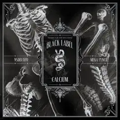 Mega Punch - Single by Calcium album reviews, ratings, credits