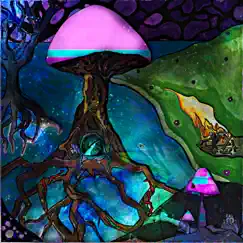 Eat Shiitake Mushrooms (Radio Edit) - Single by Let's Eat Grandma album reviews, ratings, credits
