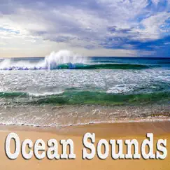 Ocean Sounds by Nature Sounds album reviews, ratings, credits