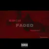 Faded (feat. StupidGenius) - Single album lyrics, reviews, download
