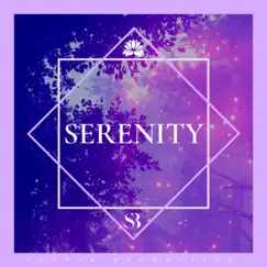 Serenity - Single by Seehra Brothers album reviews, ratings, credits