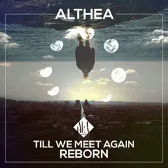 Reborn - Single by Till We Meet Again album reviews, ratings, credits