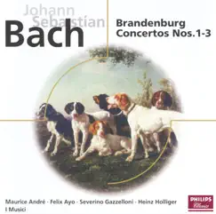 Brandenburg Concerto No. 2 in F, BWV 1047: II. Andante Song Lyrics