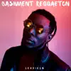 Bashment Reggaeton album lyrics, reviews, download
