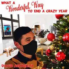 What a Wonderful Way to End a Crazy Year - Single by David Archuleta album reviews, ratings, credits