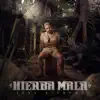 Hierba Mala album lyrics, reviews, download