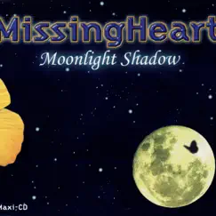 Moonlight Shadow (Extended Version) Song Lyrics