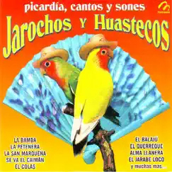 El Ahualulco Song Lyrics