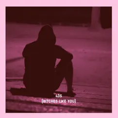 435 (Bitches Like You) - Single by KJ Gomske album reviews, ratings, credits