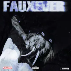 Fauxever - Single by Cashier Fresh album reviews, ratings, credits