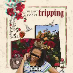 Trippin (feat. Money Mack & Fresh) Song Lyrics