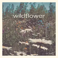 Wildflower Song Lyrics