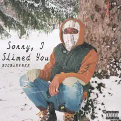 Sorry, I Slimed You by Bigbankbee album reviews, ratings, credits