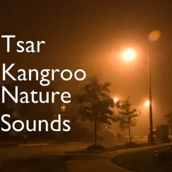 Nature Sounds - Single by Tsar Kangroo album reviews, ratings, credits