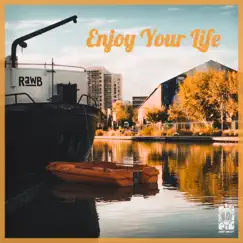 Enjoy Your Life - Single by Rawb album reviews, ratings, credits
