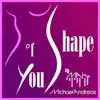 Shape of You (Instrumental) song lyrics