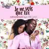 Je ne vois que toi (feat. Mister Leo) - Single album lyrics, reviews, download