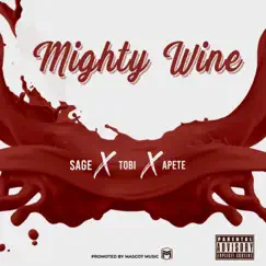 Mighty Wine (feat. Sage x Tobi) Song Lyrics