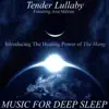 Tender Lullaby, Vol. I: The Healing and Relaxing Power of the Hang (feat. Ann Malone) album lyrics, reviews, download