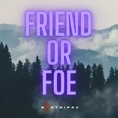 Friend or Foe - Single by Badtrippz album reviews, ratings, credits