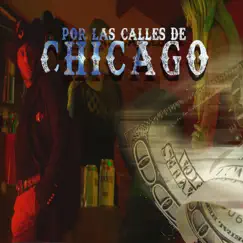 Por Las Calles de Chicago - Single by Grupo Exterminador album reviews, ratings, credits