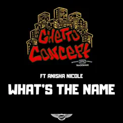 What's the Name (feat. Anisha Nicole) Song Lyrics