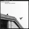 Rooftop Doves - Single album lyrics, reviews, download