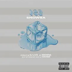 Ice - Single by Snowsa album reviews, ratings, credits