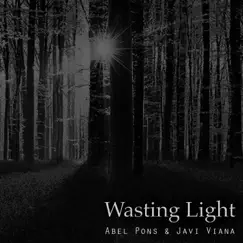 Wasting Light - Single by Abel Pons & Javi Viana album reviews, ratings, credits