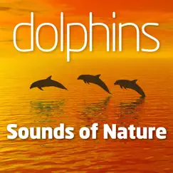 Dolphins by Sounds of Nature album reviews, ratings, credits