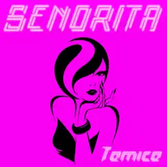 Señorita (Canis House Remix Edit Instrumental) Song Lyrics