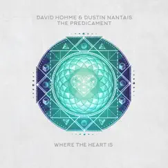 The Predicament by David Hohme & Dustin Nantais album reviews, ratings, credits