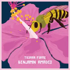 Tierra Firme - Single by Benjamin Amadeo album reviews, ratings, credits