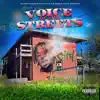 Voice of the Streets album lyrics, reviews, download