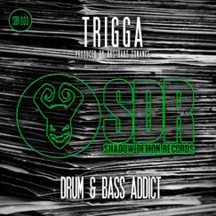 Drum and Bass Addict - Single by Trigga & Abstrakt Sonance album reviews, ratings, credits