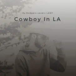 Cowboy in LA Song Lyrics