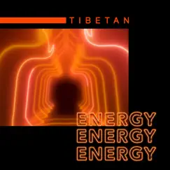 Tibetan Energy by Maryada Ram & Jane Peace album reviews, ratings, credits